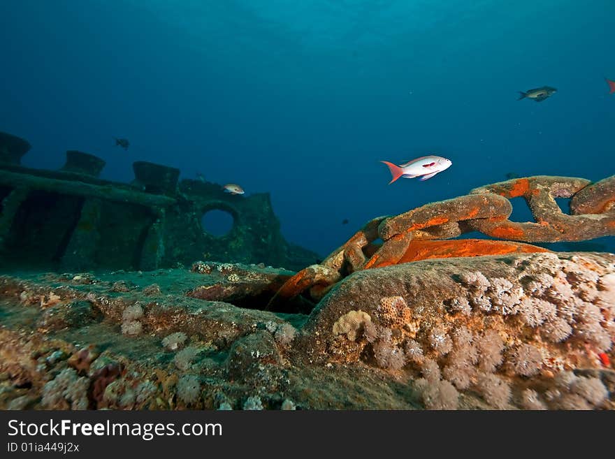 Bow side of the Thistlegorm