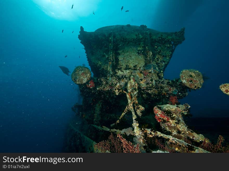 Tank Wagon On The Thistlegorm