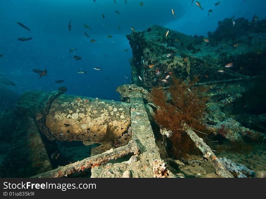 Wreck Thistlegorm 1941 taken in the red sea. Wreck Thistlegorm 1941 taken in the red sea.