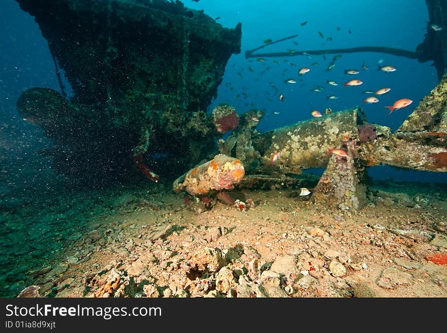 Wreck Thistlegorm 1941 taken in the red sea. Wreck Thistlegorm 1941 taken in the red sea.