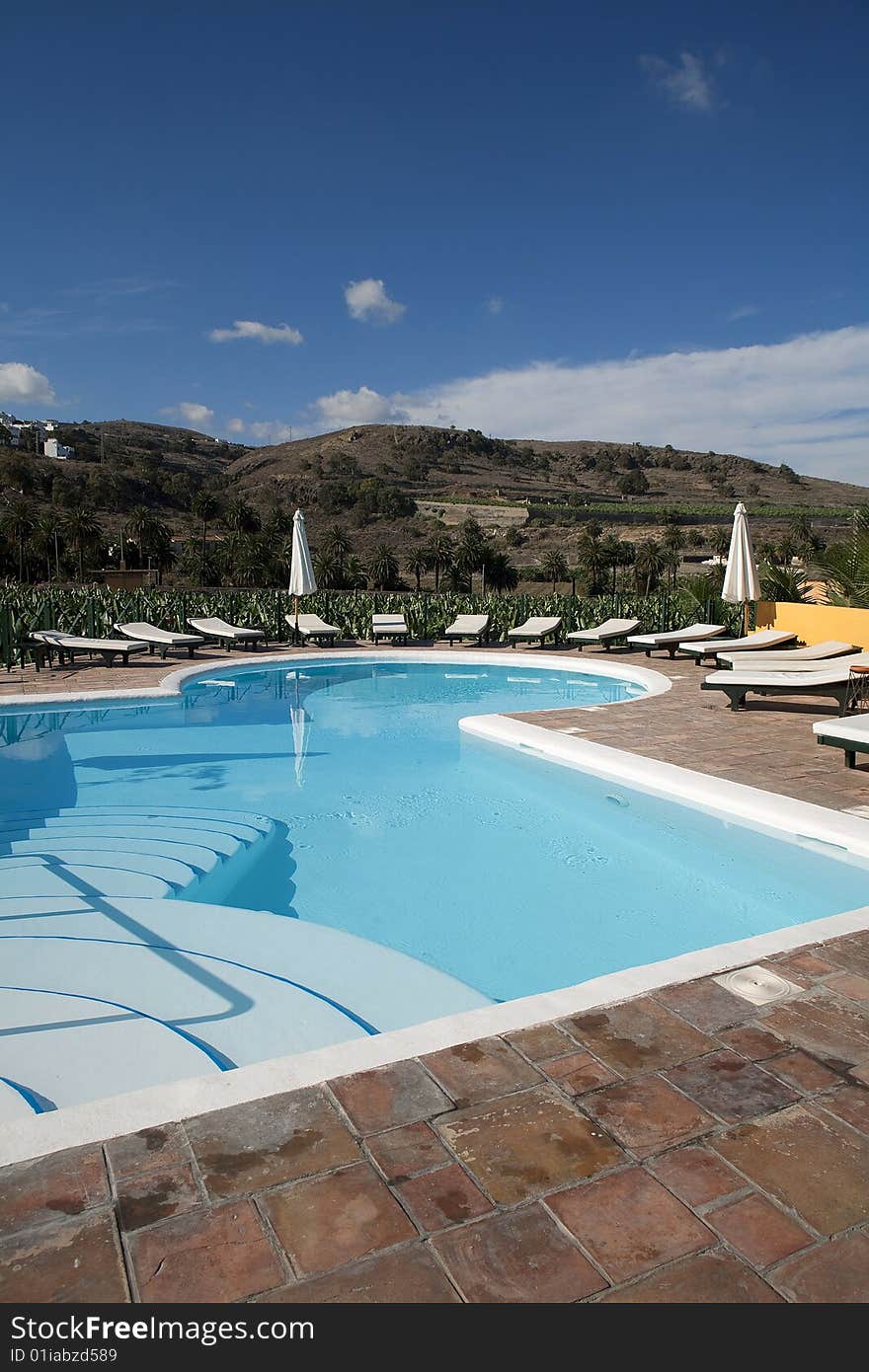 Beautiful swimming pool surrounded by chairs and plants