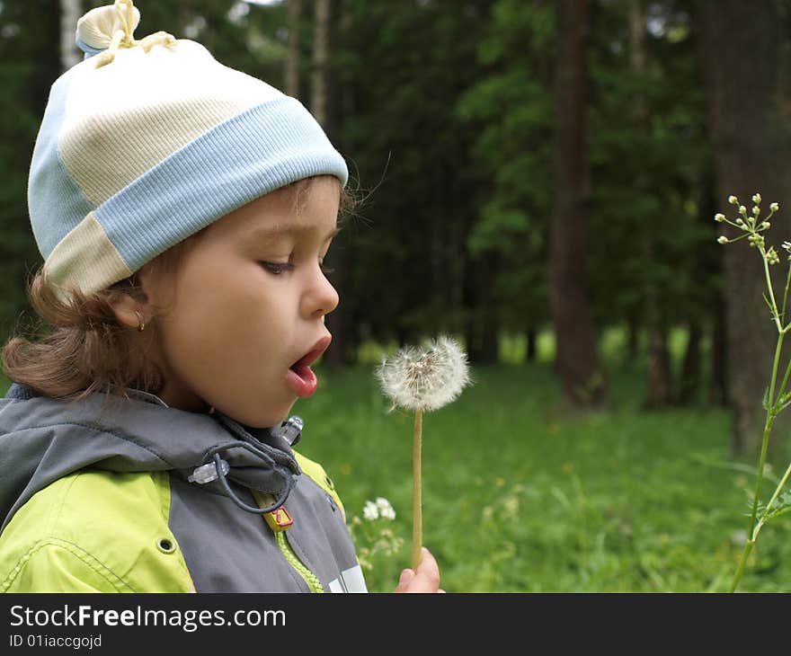 The girl with dandelion.