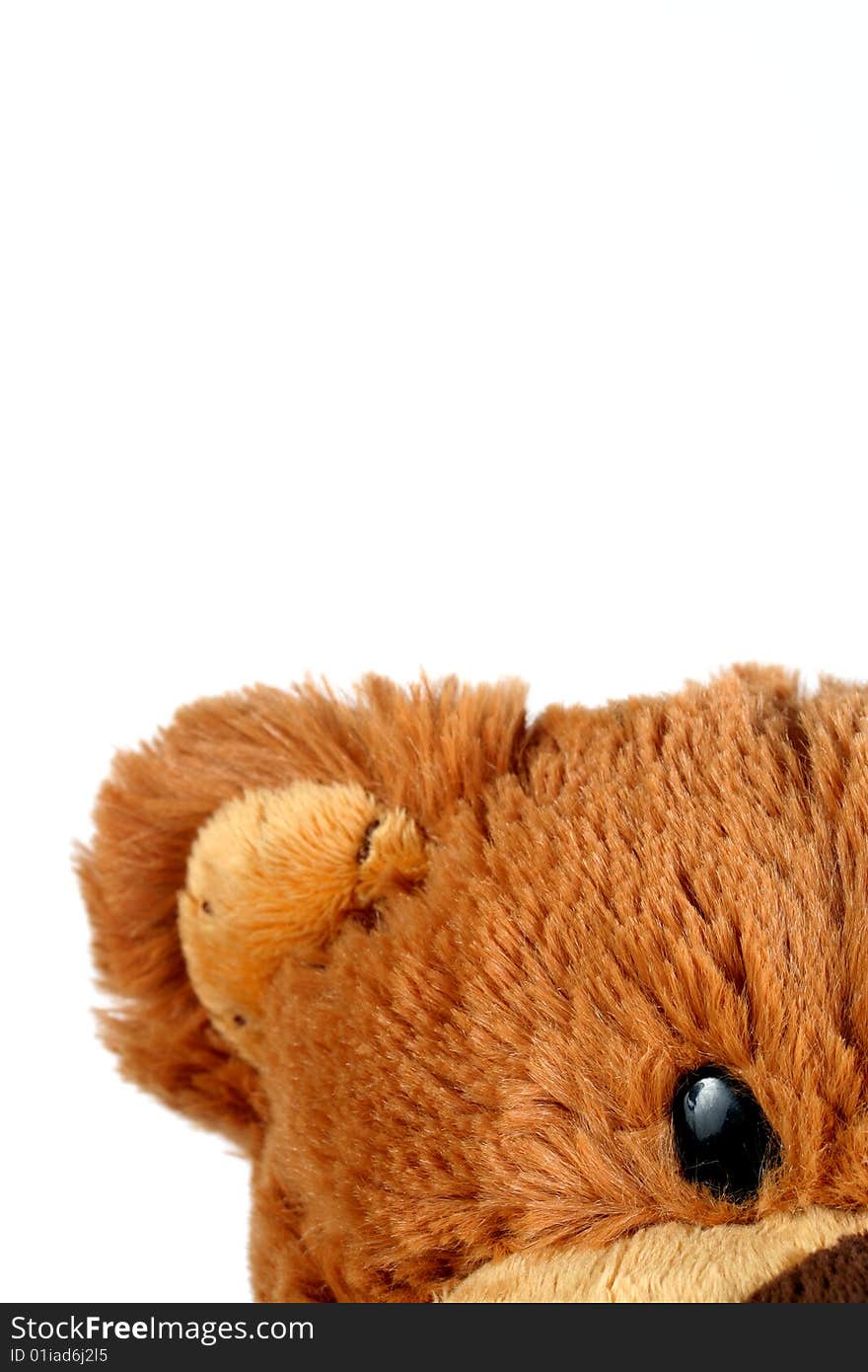 Light brown cute teddy bear