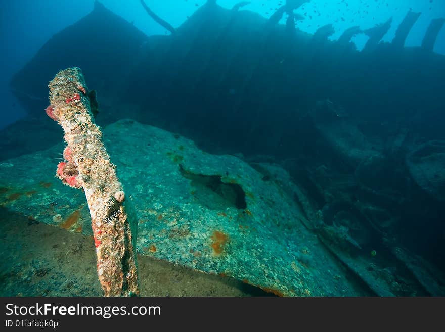 Wreck Thistlegorm 1941 taken in the red sea. Wreck Thistlegorm 1941 taken in the red sea.