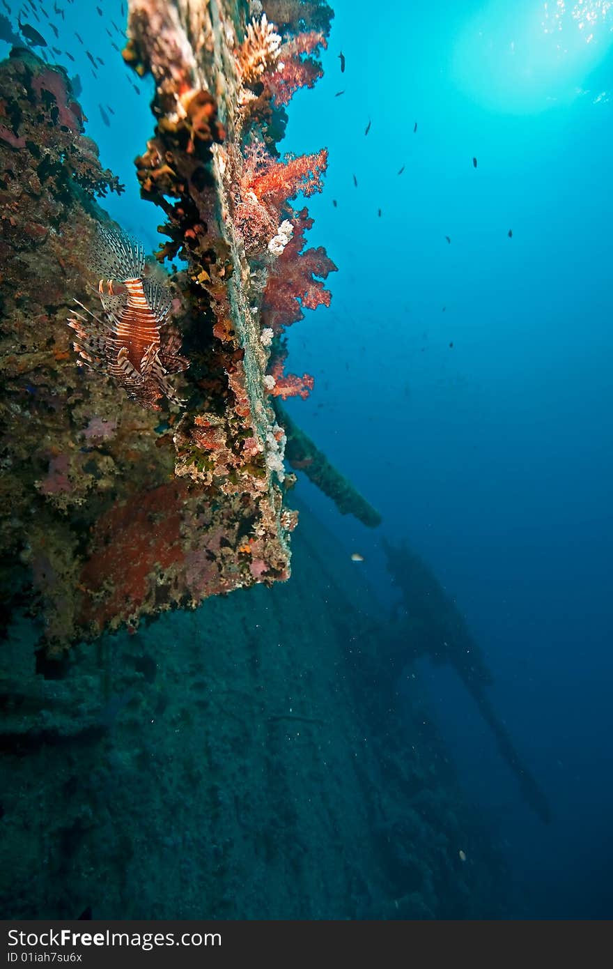 Light anti-aircraft gun on the Thistlegorm