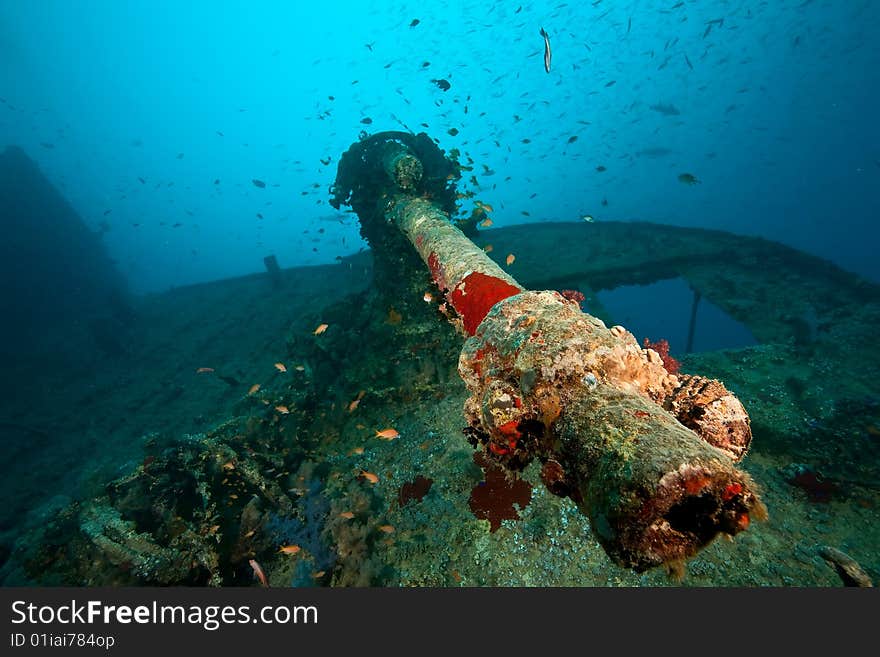 Anti-aircraft machine gun on the Thistlegorm