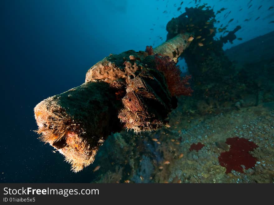 Anti-aircraft machine gun on the Thistlegorm