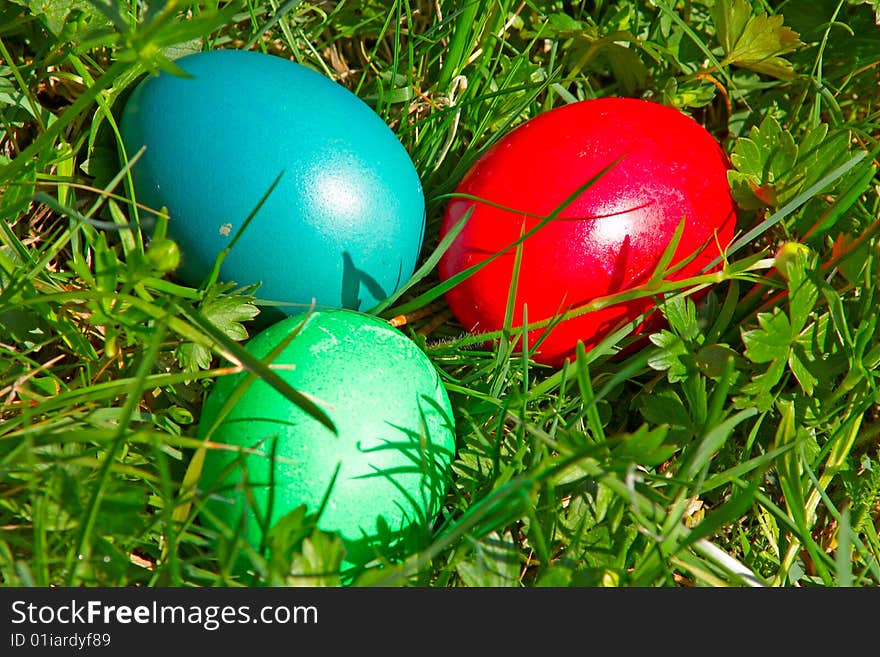 Colorful Easter eggs in grass (Red, Green, Blue)