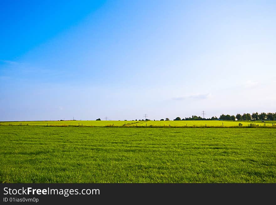 Bright green meadow