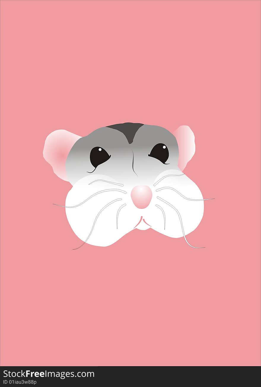 Cute Hamster on pink background