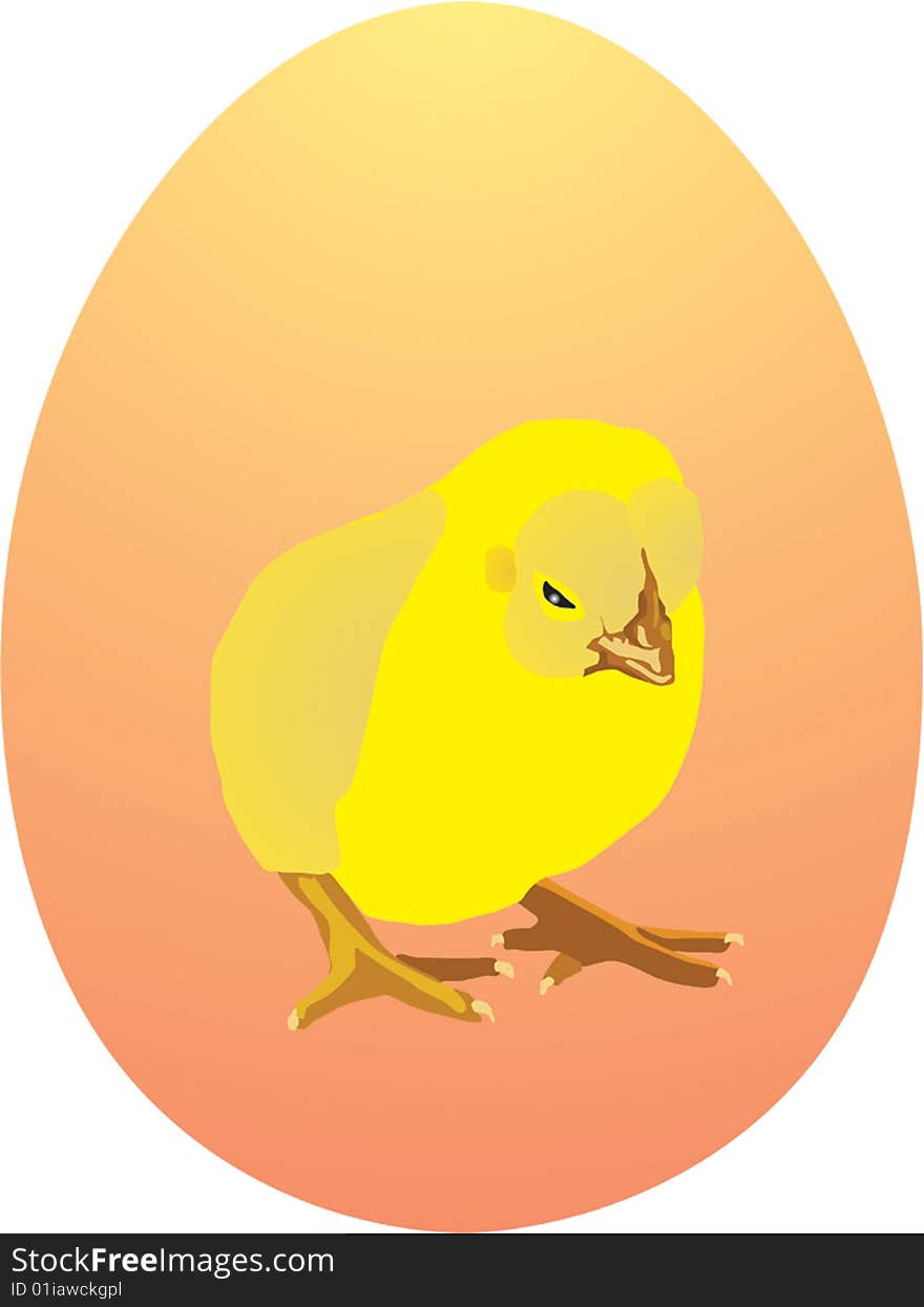 Yellow Chicken On Egg