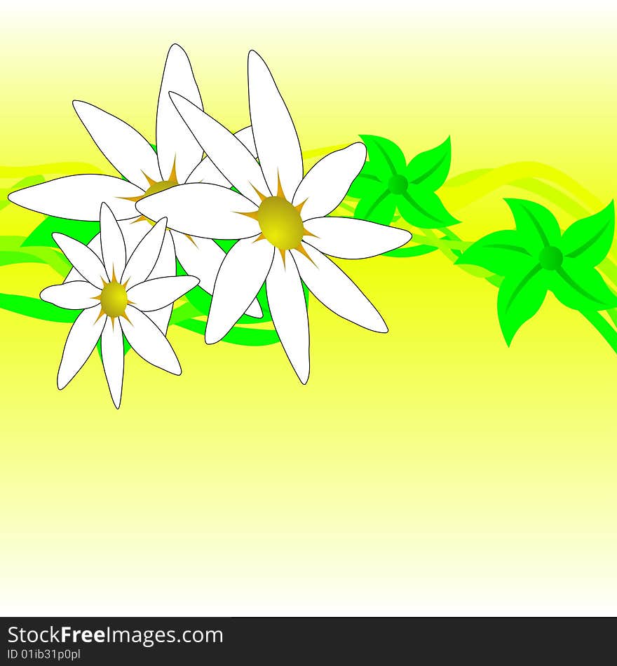 Floral spring background, vector illustration