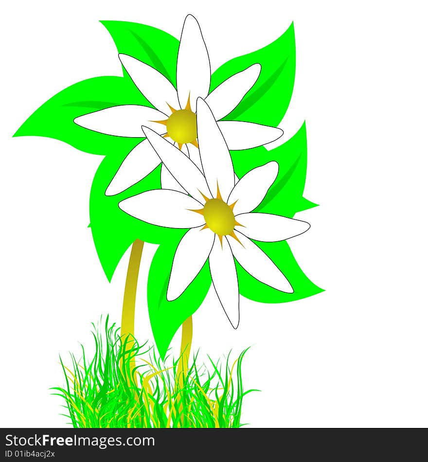 Flower with grass on white background, vector illustration