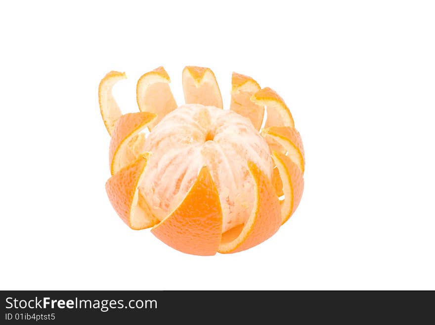 Orange with peel in view flower