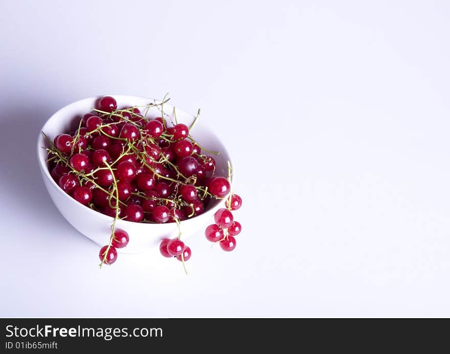 Red currant in bowl on white background