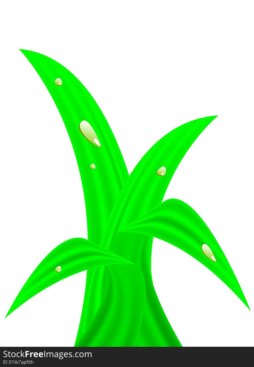 Plant with dew, vector illustration