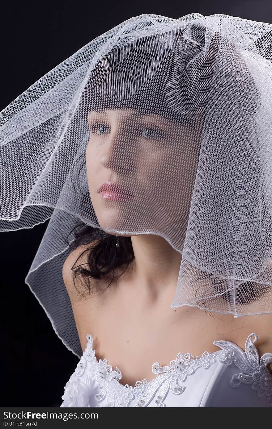 Studio portrait of a beautiful brunette bride against black background. Studio portrait of a beautiful brunette bride against black background