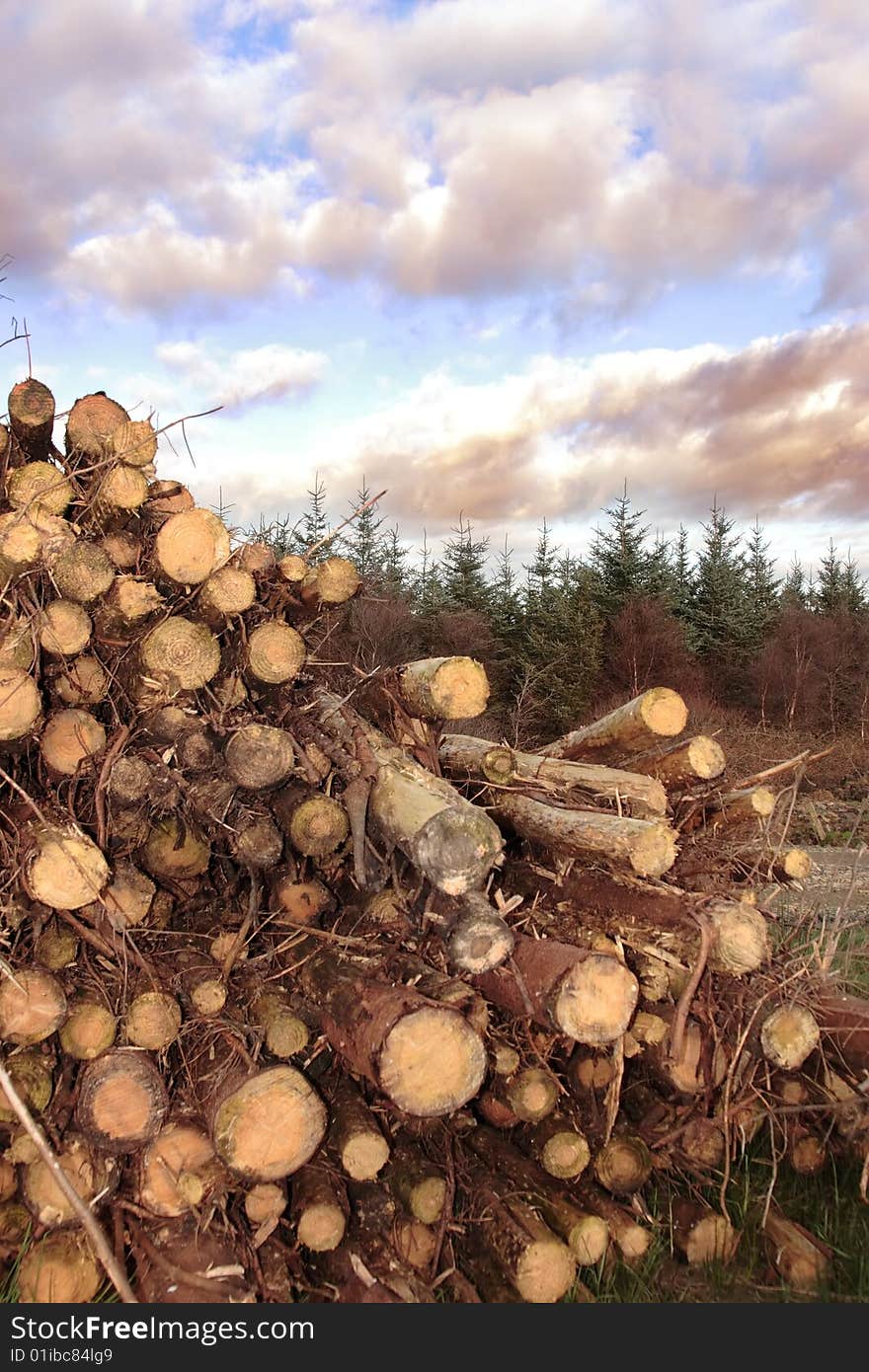 Stacked timber ready for production against a cloudy sky. Stacked timber ready for production against a cloudy sky