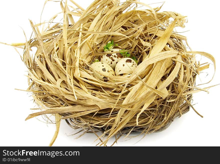 Nest with eggs on a white background