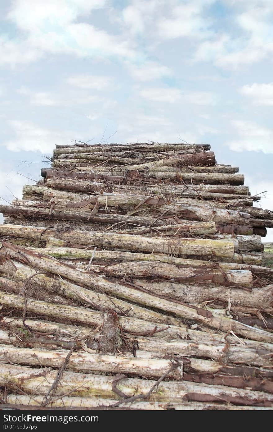 Stacked timber ready for production against a cloudy sky. Stacked timber ready for production against a cloudy sky