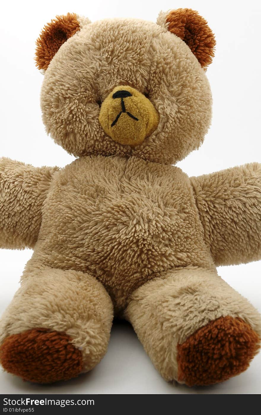 Big sad teddy bear against white background