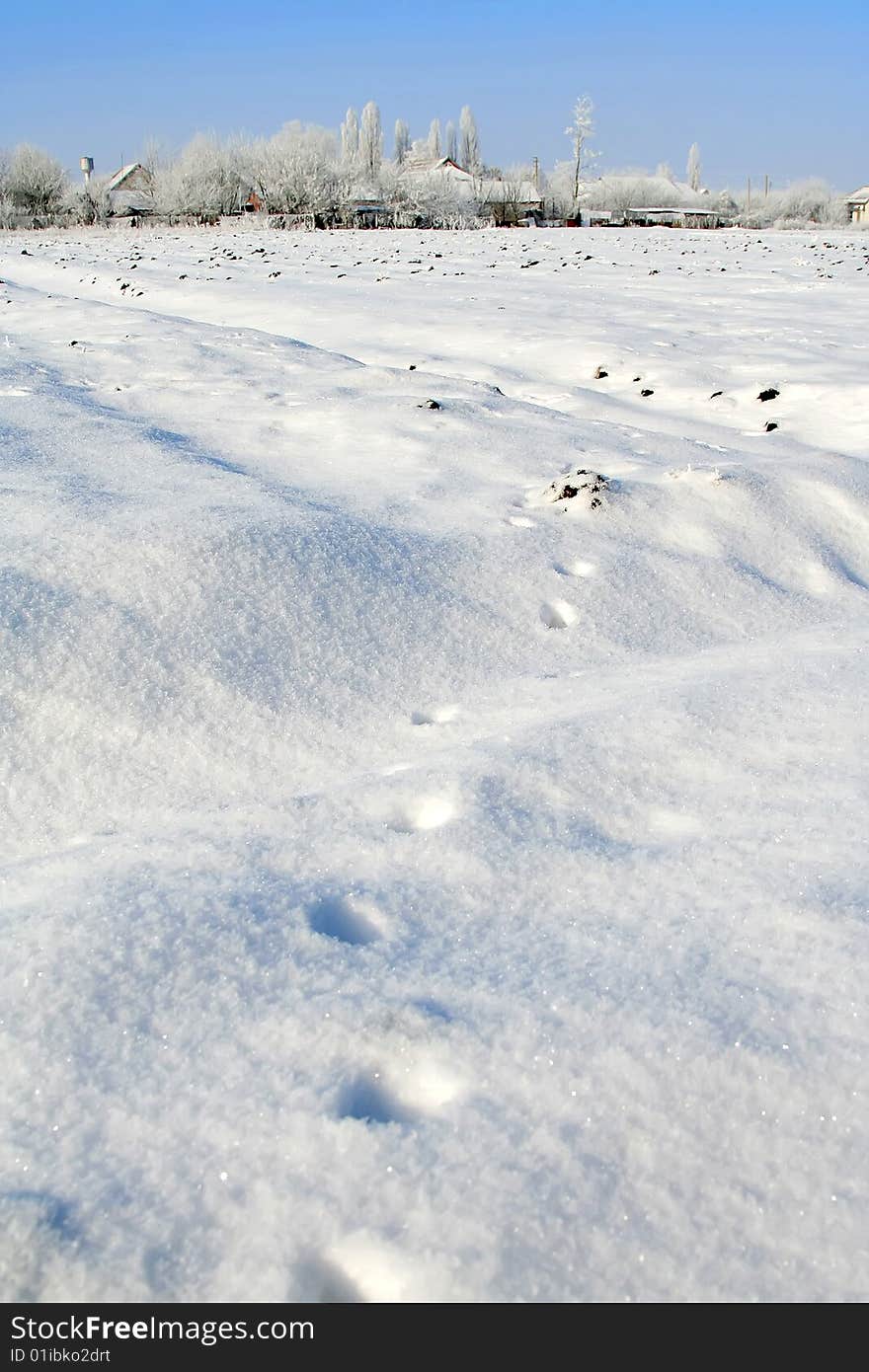 Winter landscape. blue sky. animal traces