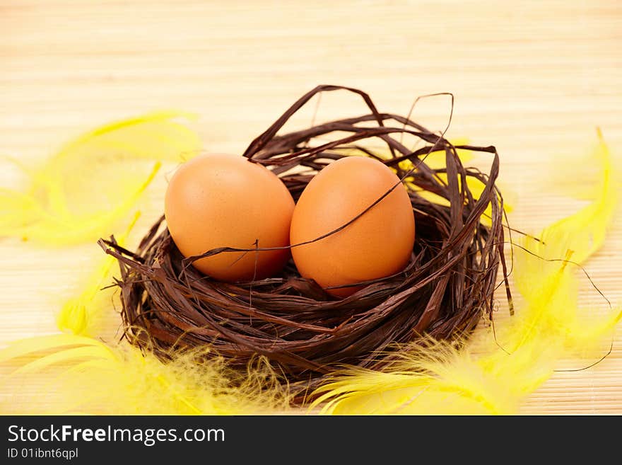 Eggs in nest with feathers