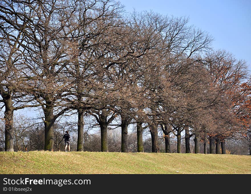 Men running along the trees. Men running along the trees