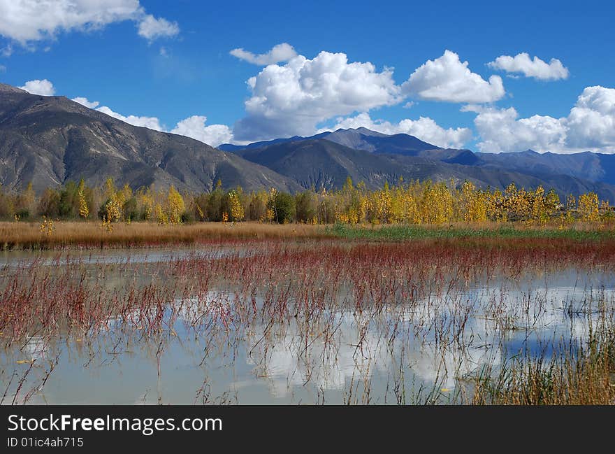 Beautiful River Valley