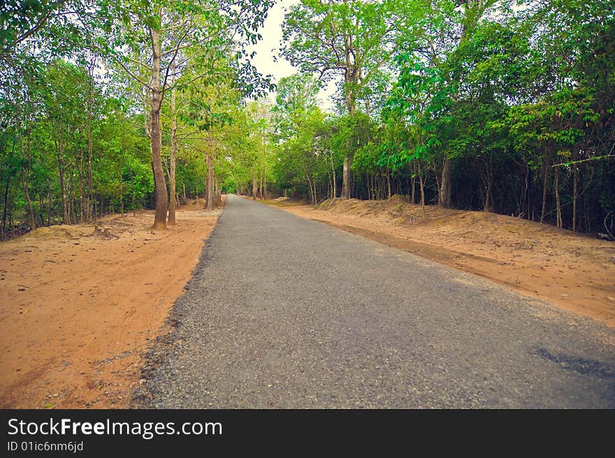 Secondary road path with green trees from Angkor`s temple.Cambodia Ta Som at Angkor, Cambodia, is a small Buddhist temple dedicated to the father of King Jayavarman VII. It was built at the end of the 12th century. It is east of Neak Pean and has not been restored. Secondary road path with green trees from Angkor`s temple.Cambodia Ta Som at Angkor, Cambodia, is a small Buddhist temple dedicated to the father of King Jayavarman VII. It was built at the end of the 12th century. It is east of Neak Pean and has not been restored.