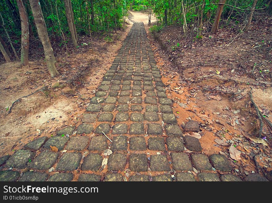 Ancient stone path from entrance in Ta Som temple. Angkor Wat. Cambodia. Ancient stone path from entrance in Ta Som temple. Angkor Wat. Cambodia.
