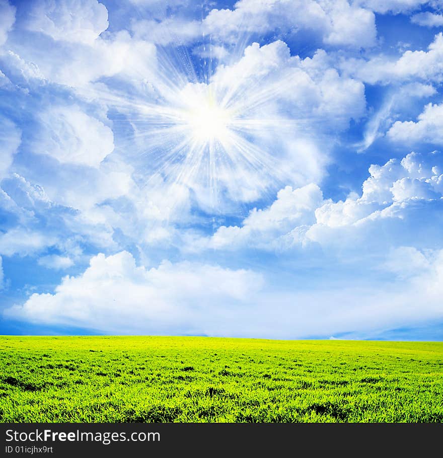 Field on a background of the blue sky. Field on a background of the blue sky