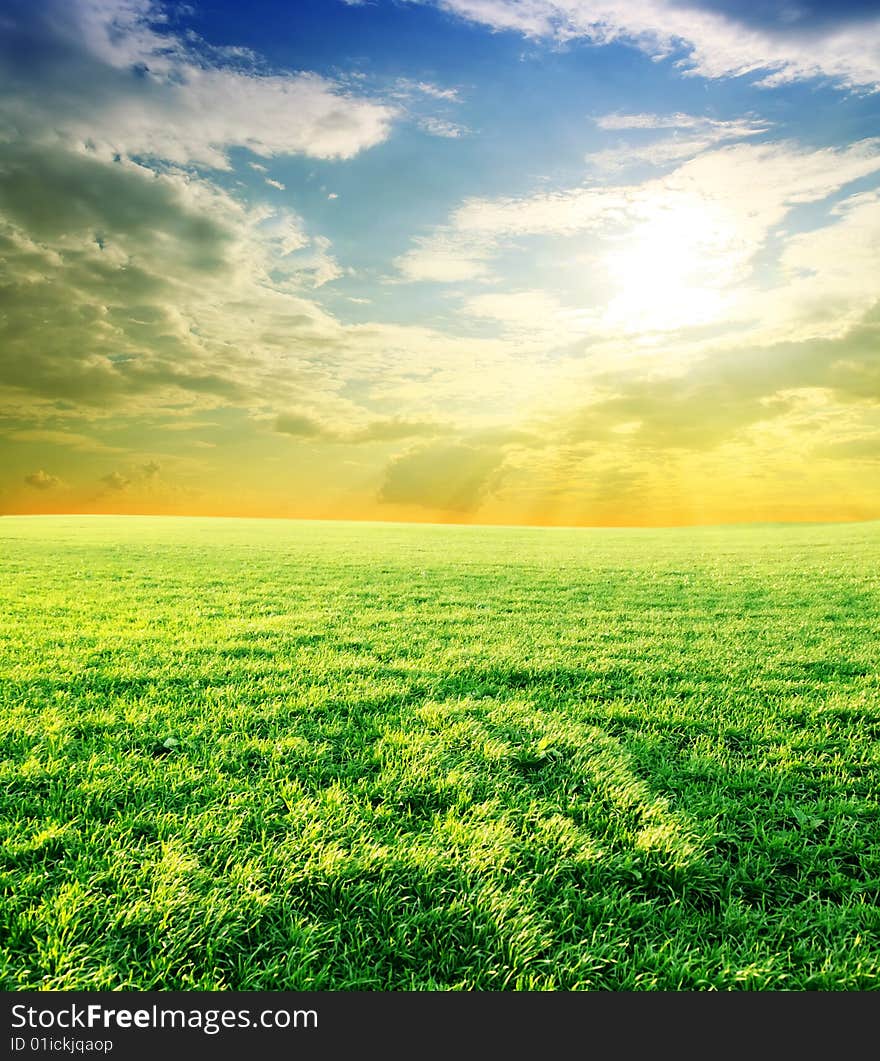 Green field and beautiful sunset