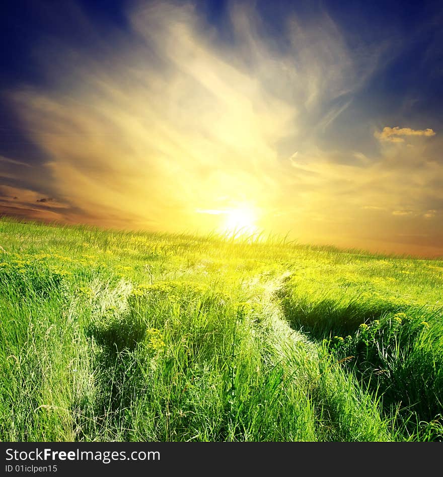 Green field and beautiful sunset