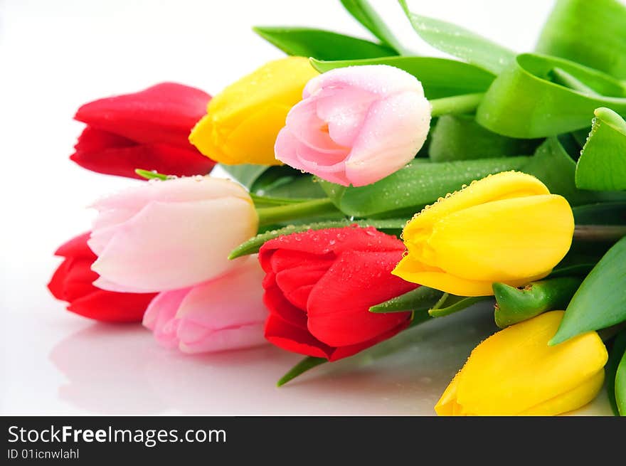 Bunch of colorful tulips isolated on white