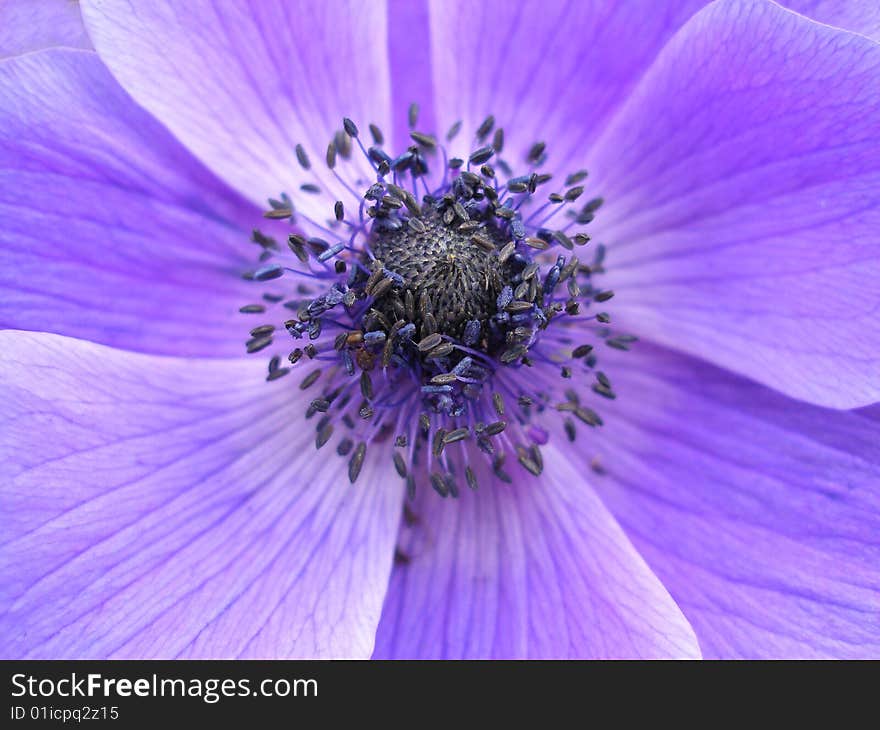 That photo taken in the garden. That photo taken in the garden.