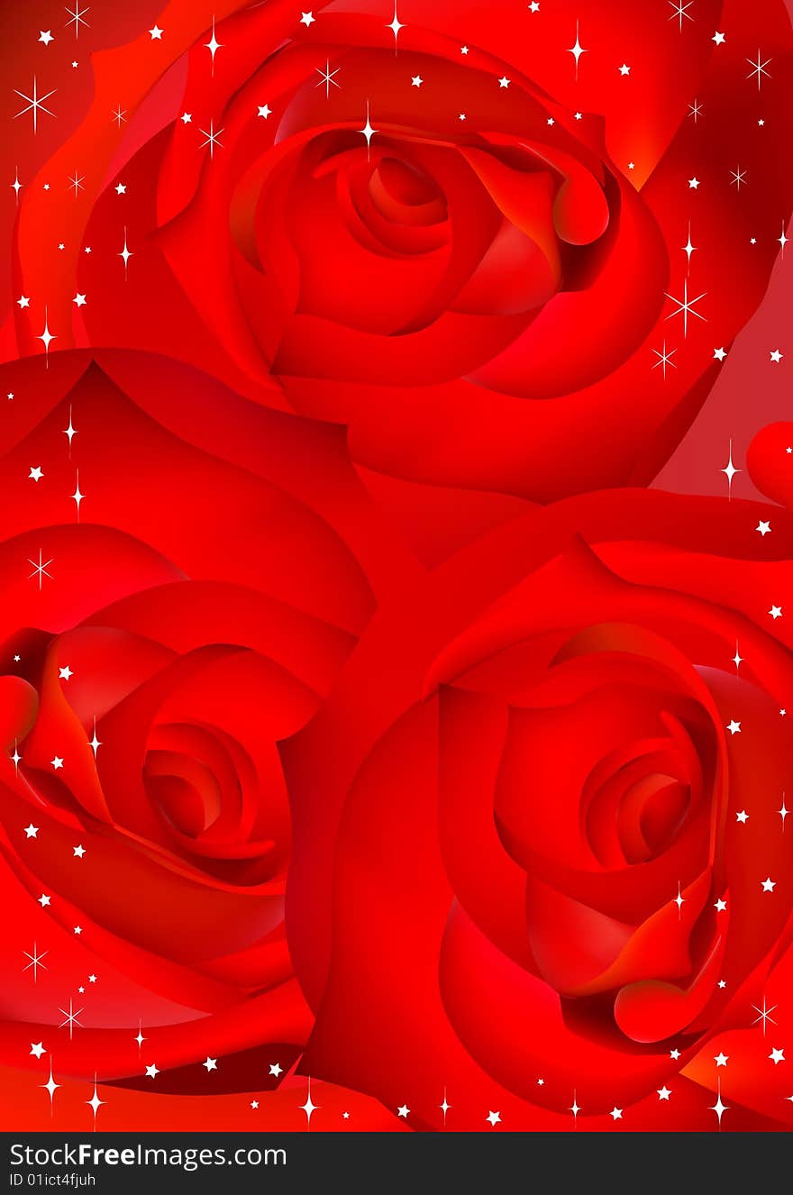 Red roses against a card