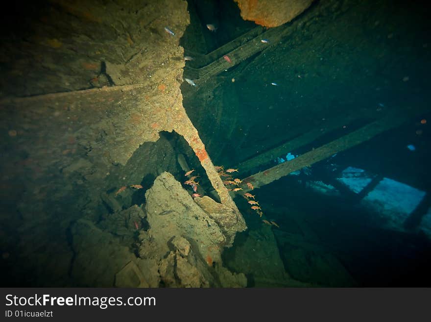 Wreck Dunraven 1876 taken in the red sea.