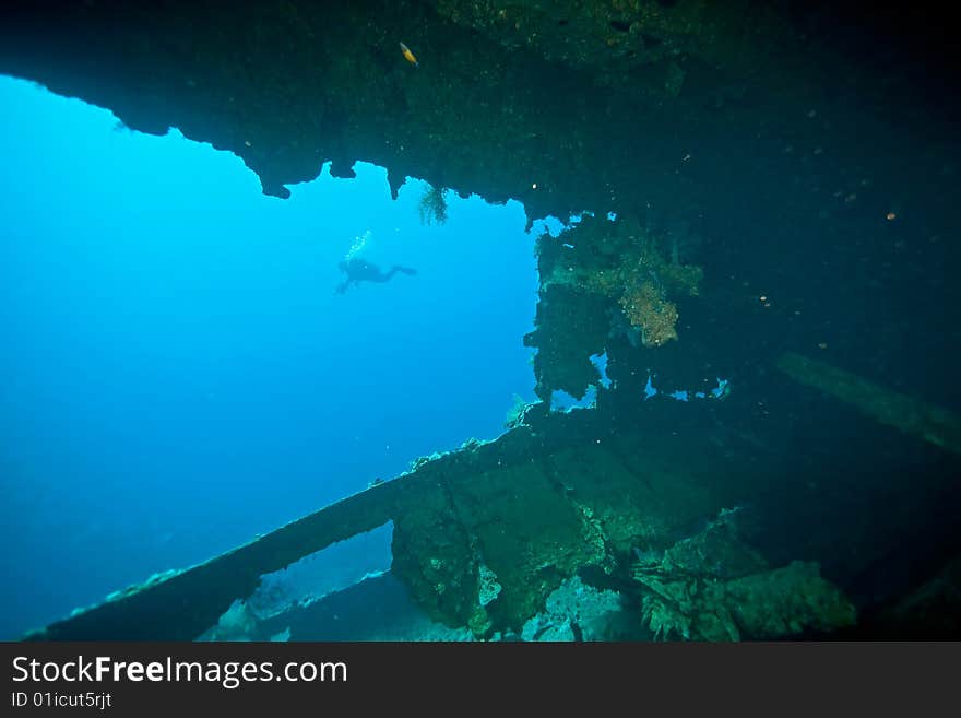 Wreck Dunraven 1876 taken in the red sea.