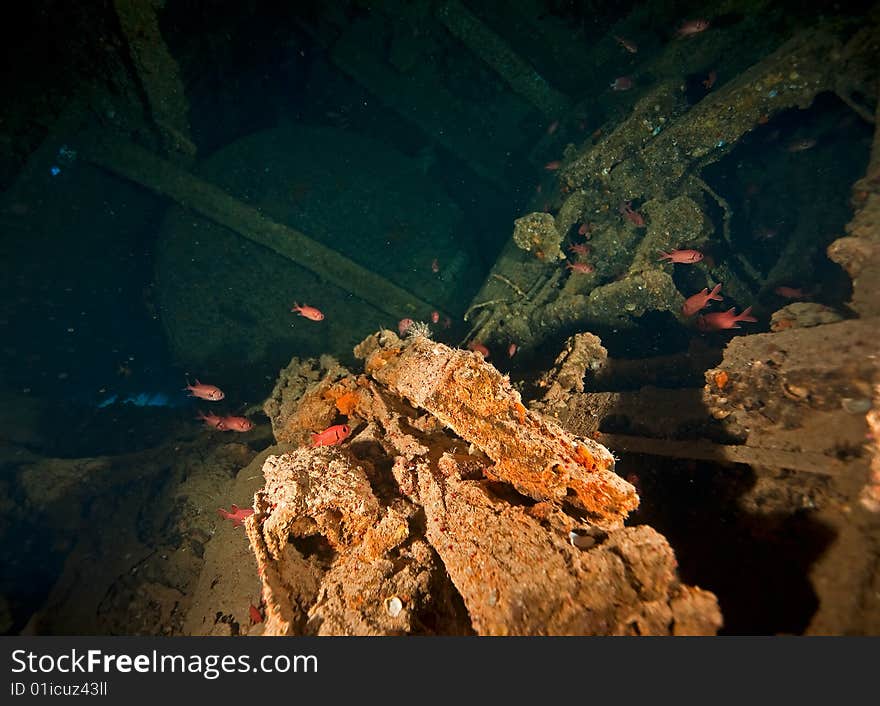 Wreck Dunraven 1876 taken in the red sea.