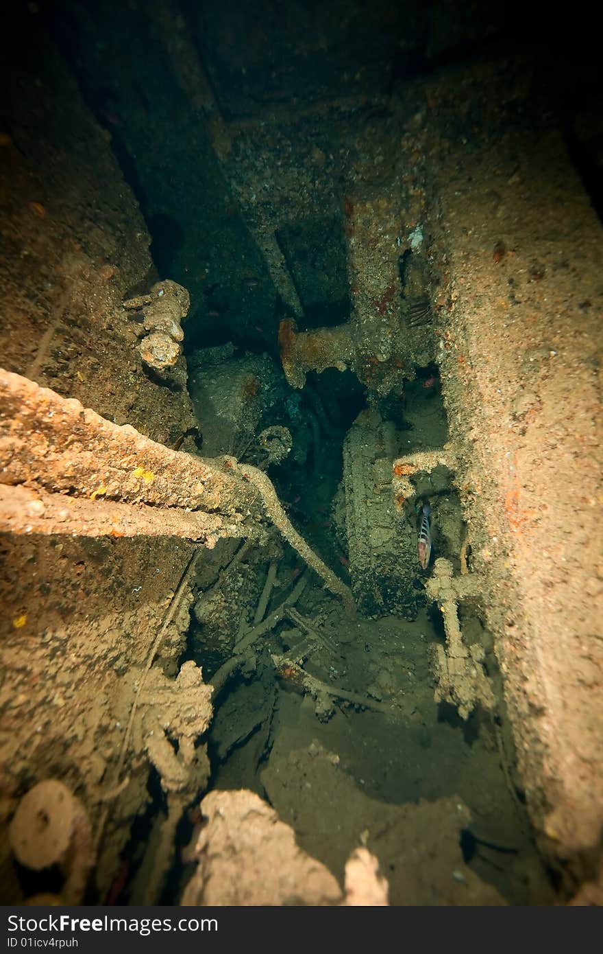 Wreck Dunraven 1876 taken in the red sea. Wreck Dunraven 1876 taken in the red sea.