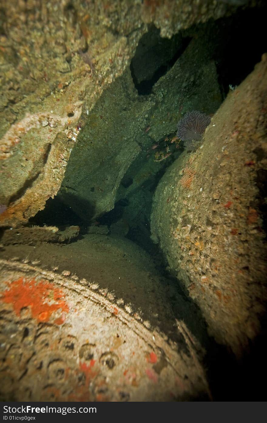 Wreck Dunraven 1876 taken in the red sea.