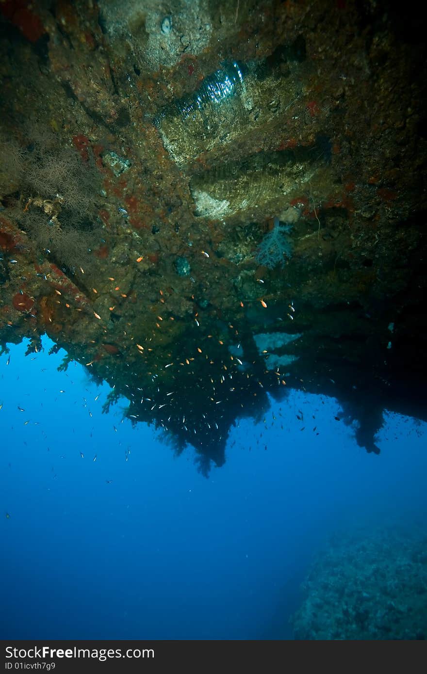 Wreck Dunraven 1876 taken in the red sea.