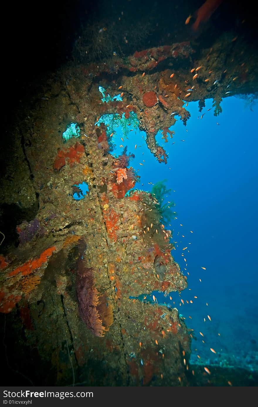 Wreck Dunraven 1876 taken in the red sea.