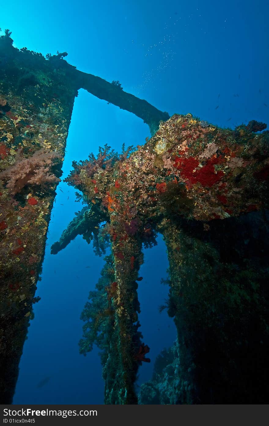 Wreck Dunraven 1876 taken in the red sea. Wreck Dunraven 1876 taken in the red sea.