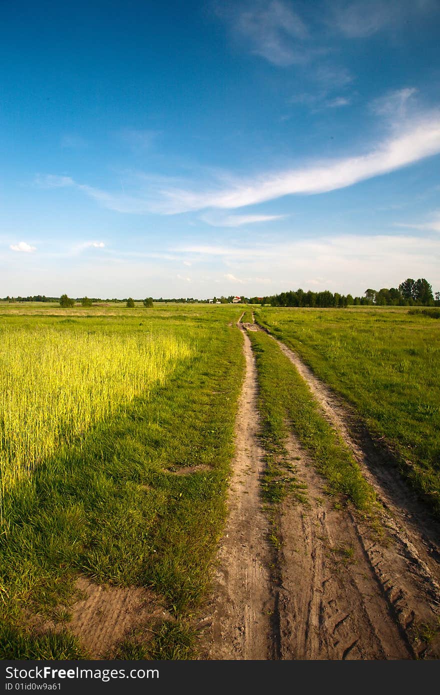 Blue sky and green grass in the poland. Blue sky and green grass in the poland