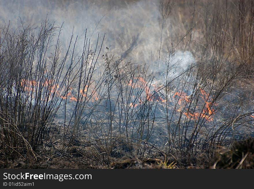 Fire in the bush. Near Kiev,Ukraine. Fire in the bush. Near Kiev,Ukraine