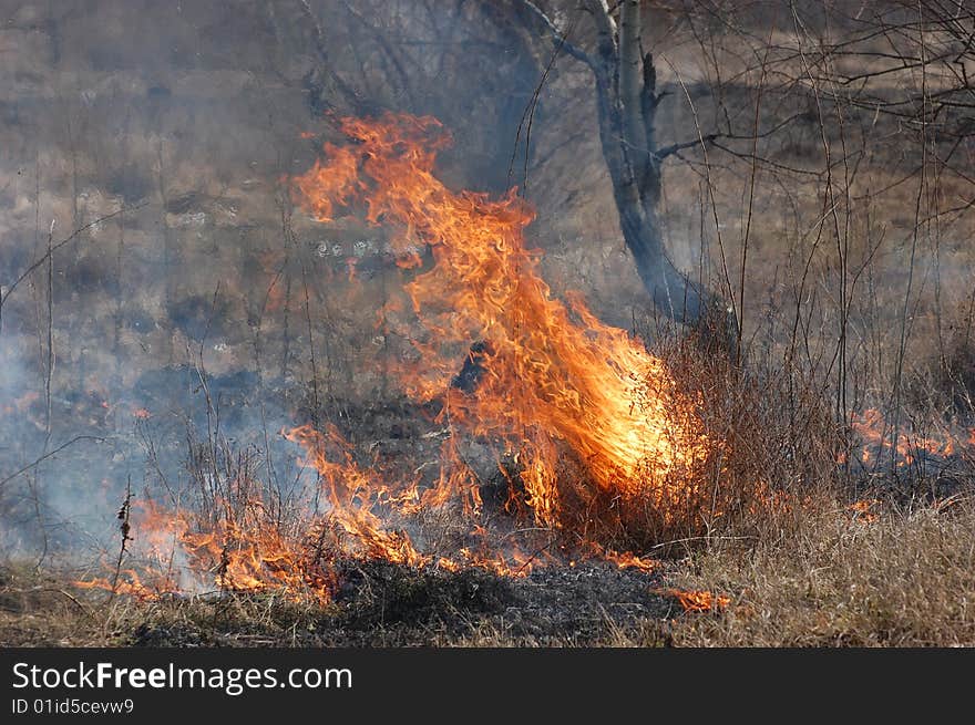 Fire in the bush. Near Kiev,Ukraine. Fire in the bush. Near Kiev,Ukraine