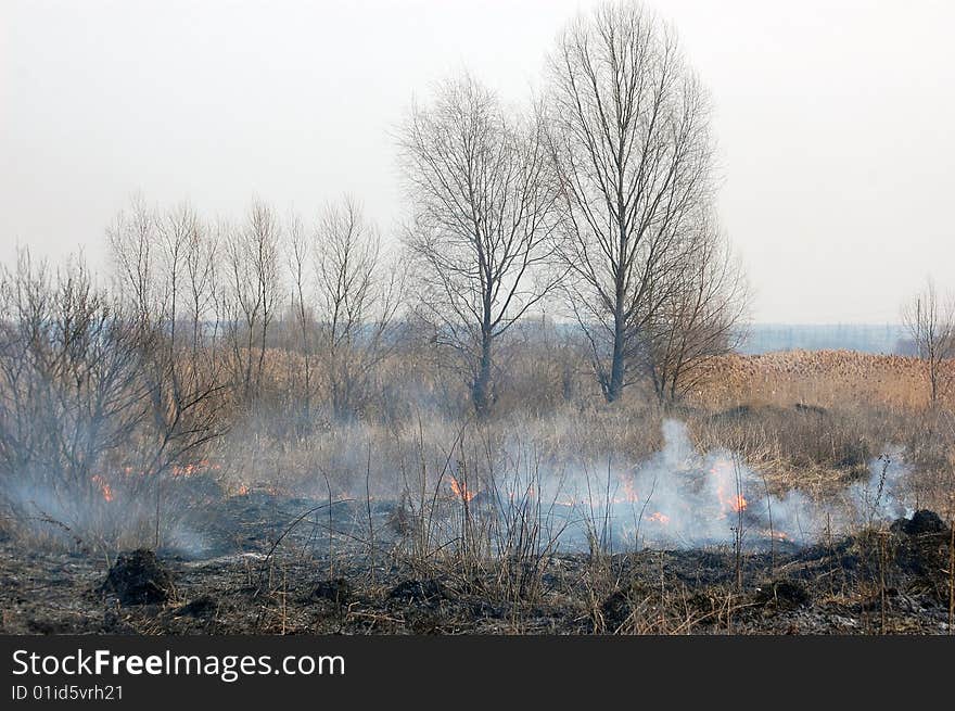 Fire in the bush. Near Kiev,Ukraine. Fire in the bush. Near Kiev,Ukraine