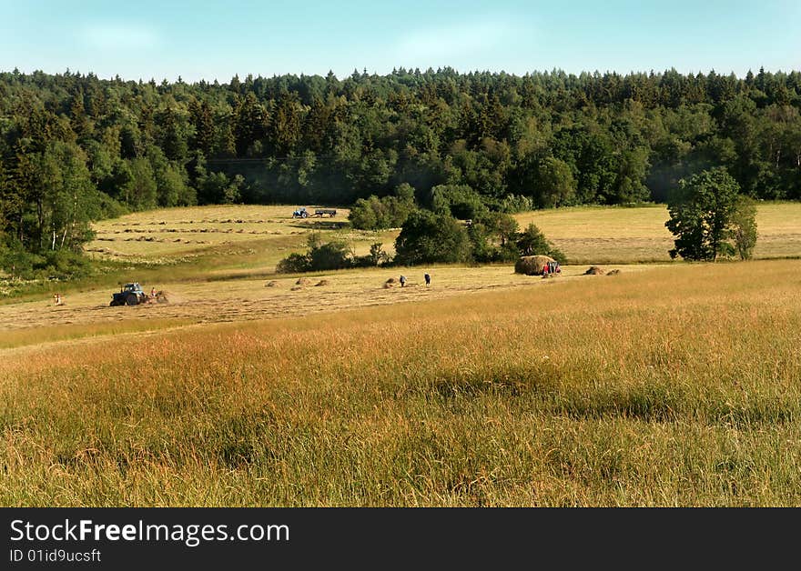 Haying in the Russian outback